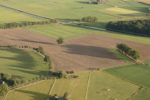 Lange schaduwen van bomen in het landschap