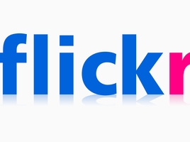 Flickr Logo Large with Reflection