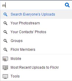 Flickr Search Function