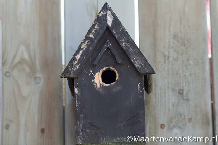 Fotograferen in praktijk - Vogelhuisje