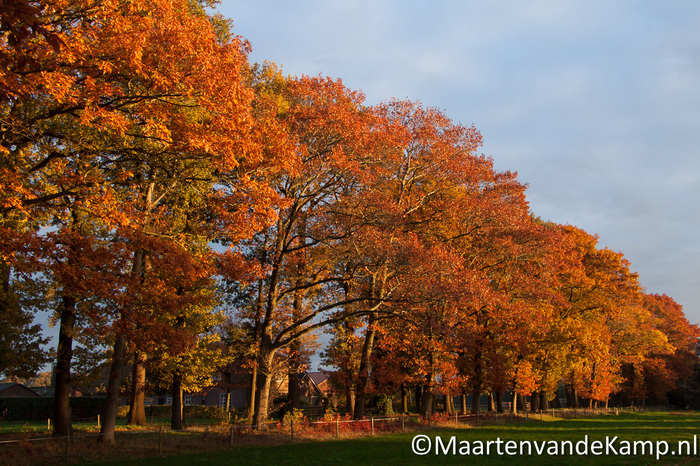 Herfstfoto's