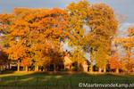 Herfstfoto's