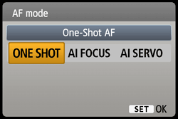 One-Shot-AF