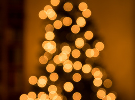 Out of focus Kerstboom