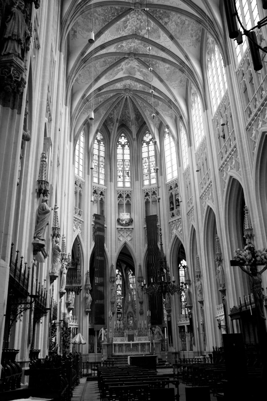 Sint-Janskathedraal in zwart-wit met hoog contrast