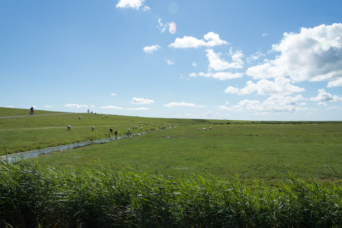 Binnenkant Waddendijk in de buurt van Hoorn