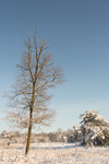 Winter in Barneveld 2012
