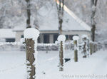 Winter in Barneveld 2012