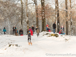 Winter in Barneveld 2012