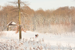 Winter in Barneveld 2012