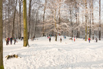 Winter in Barneveld 2012