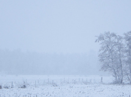 Winterlandschap