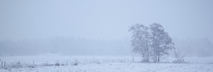 Winterlandschap